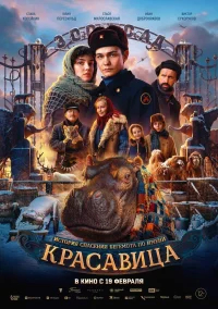 Красавица бесплатно