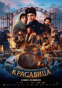 Красавица бесплатно